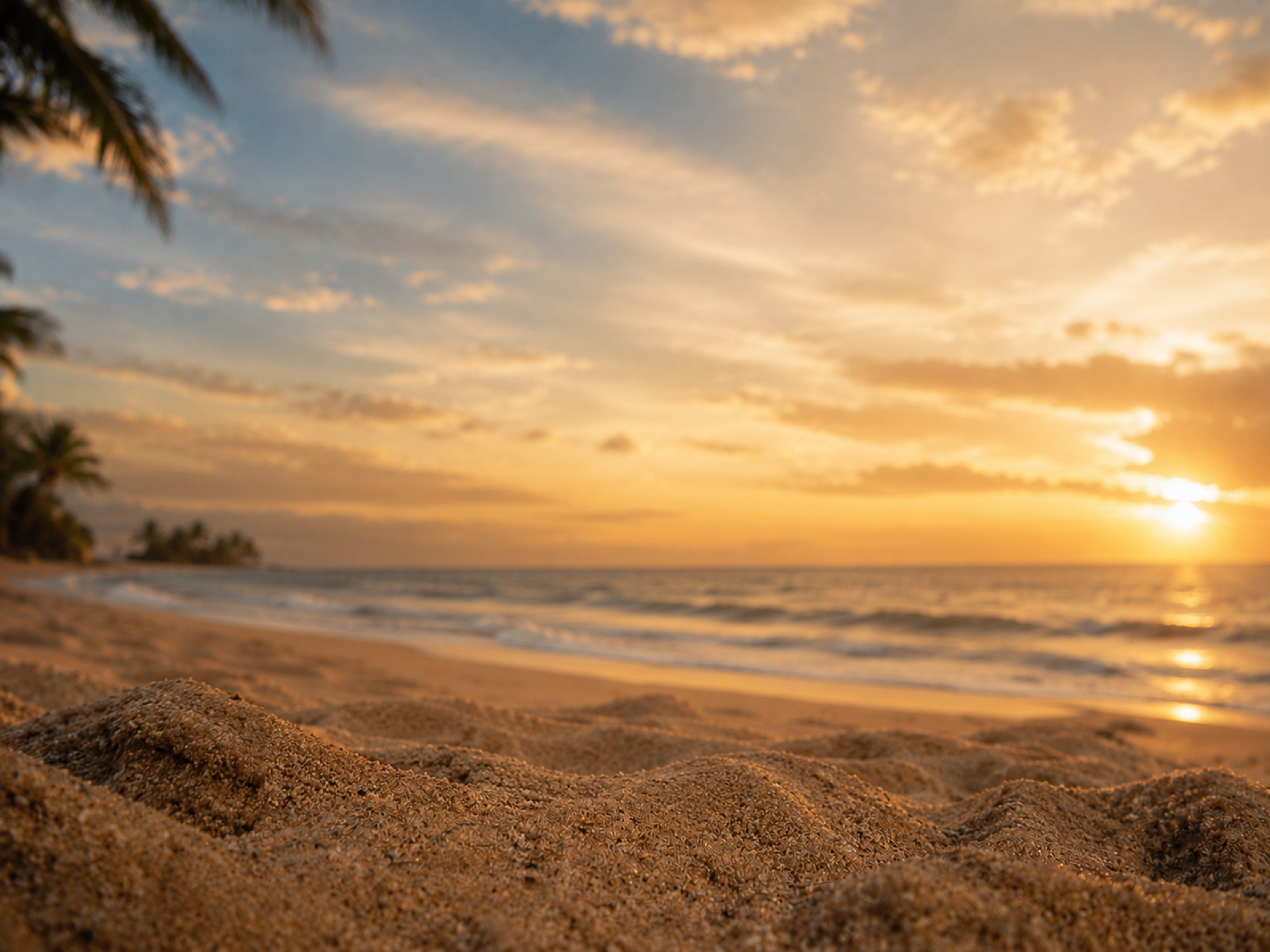 Tropical Brazilian beach at golden hour